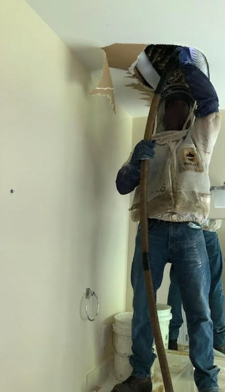 Removing Honey Bees from a ceiling
